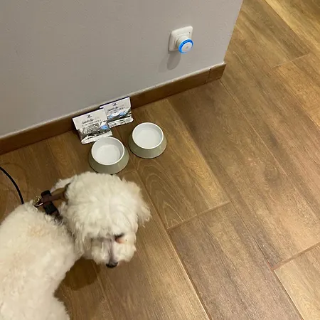 Apartment 2 Zi Sonnenwohnung Mit Luxuskueche In Der Maritim Residenz Bellevue An Der Ostsee In *