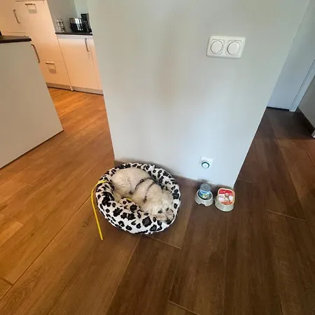 Apartment 2 Zi Sonnenwohnung Mit Luxuskueche In Der Maritim Residenz Bellevue An Der Ostsee In Kiel